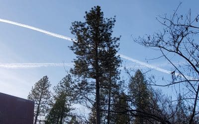 Blue Tent, Nevada City