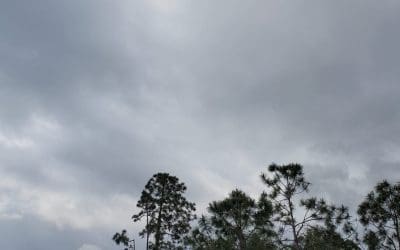 Always cloudy in Venice, FL