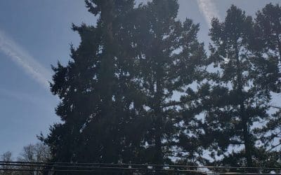 Willamette Valley CHEMTRAILS  4/10/24