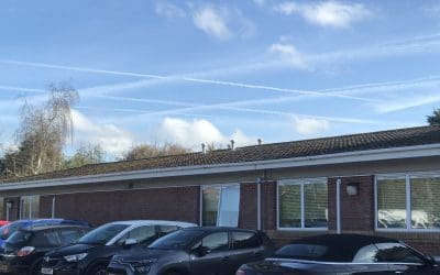 New Forest, England 18 April 2024