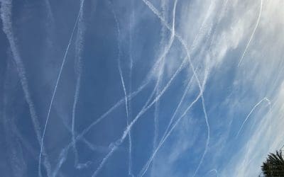 Alicante Spain Feb and March 2024