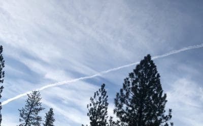 Another clear blue sky ruined before sunrise