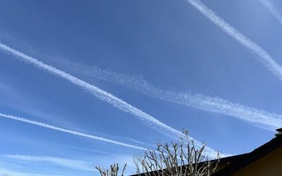 Discerning to say the least