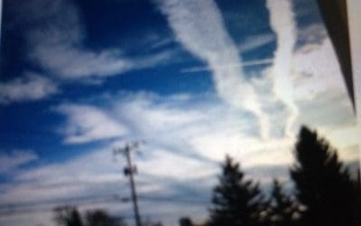 Wooler Ontario Canada