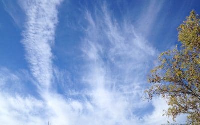 Wooler Ontario, Canada