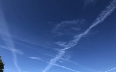 Every day in Saint Petersburg Florida