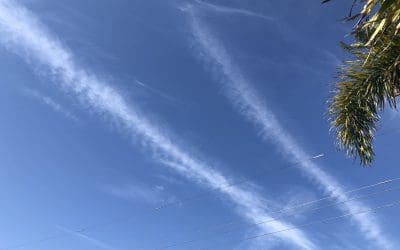 Your tax $ pay for this