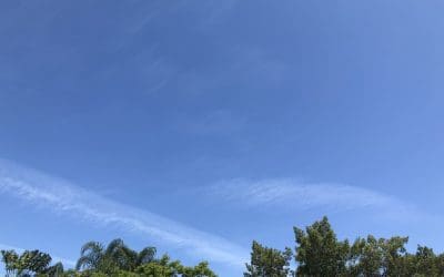 Saint Petersburg Florida