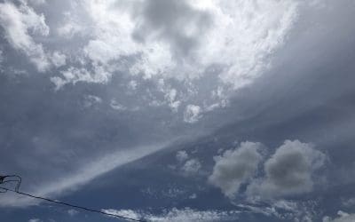 Poison skies of Florida