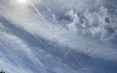 If only we lived in Tennessee!