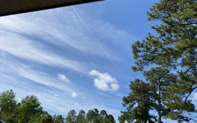 All over town Wilmington NC