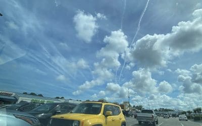 Daily poison in Wilmington NC