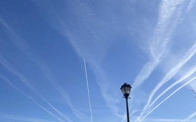 They’re everywhere