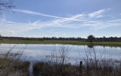 Waar is de blauwe lucht ?