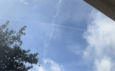 SOUTHWEST TENNESSEE 4-8-2024