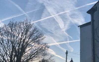 They arnt hiding it anymore!