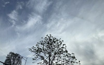 France chemtrails everywhere