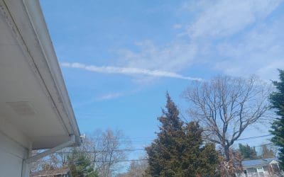 All day every day long island