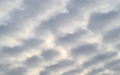 Devil demons wefbasterds