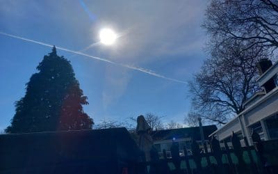 The worst crime ever