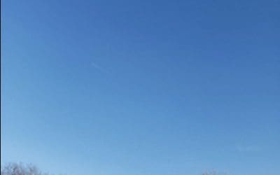 Crook County Chicago Illinois