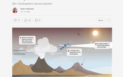 Good balanced article