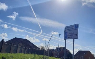 They think we are stupid