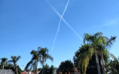 X marks the spot