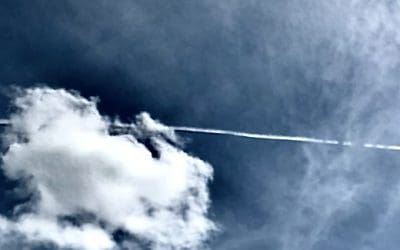 Bio-chemical terrorism in central Florida skies.