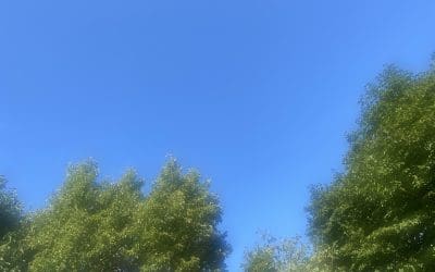 Now this is a blue in Amsterdam sky! That’s why a plane is seen pulling a poisonous chemtrail in the second picture (click through to see second picture)