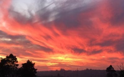 Chemtrailresult in evening