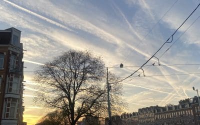 Amsterdam: the trails got worse by the hour