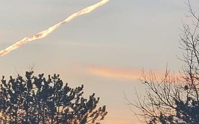 Just a normal line cloud