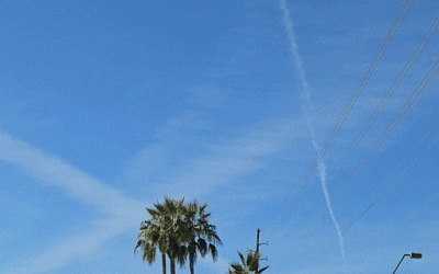 Arizona is under siege!!!