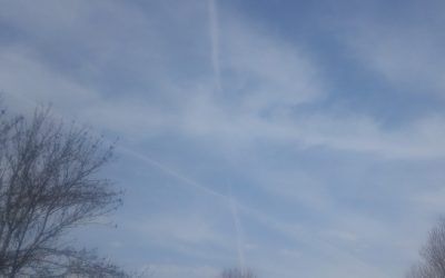 April 8, Minnesota; It’s Every Day Now