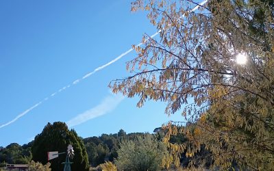 Spring Creek Nevada USA